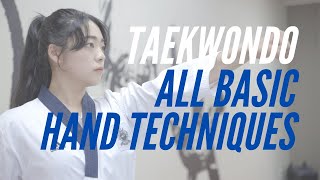 Taekwondo Basics All Basic Hand Techniques [upl. by Cheney]