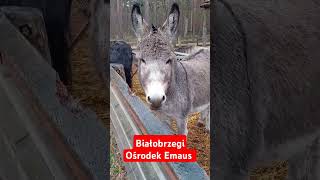 Białobrzegi Ośrodek Emaus [upl. by Ataliah616]