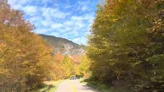 fallfoliage newengland vermont upstateny Berkshires [upl. by Arabele104]