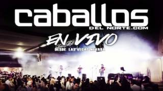 EN VIVO El Caballito Caballos del norte [upl. by Fisken]