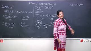 Transition Elements Munsell Wheel Color of Compounds of Transition Elements  For IITJEE 0730 [upl. by Bourque]