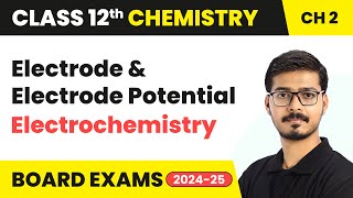 Electrode and Electrode Potential  Electrochemistry  Class 12 Chemistry Chapter 2  CBSE 202425 [upl. by Bertsche]