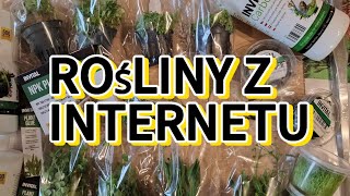 Zamówiłem rośliny przez internet [upl. by Lasko]