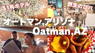 【アメリカ🇺🇸アリゾナ州】ラスベガスから2時間半のオートマンっていう街に行ってきたVlog🚗｜OatmanAZ [upl. by Felix]