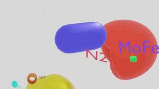 Nitrogenase Enzyme Animation Enzyme Action [upl. by Doownil]