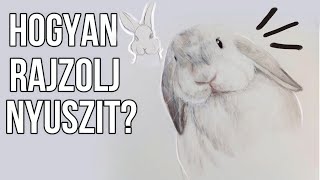 Hogyan rajzolj nyuszit Nyúl rajzolása lépésről lépésre [upl. by Iborian]