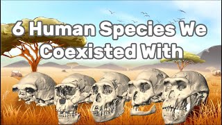 6 Ancient Human Species We Once CoExisted With [upl. by Yevad]