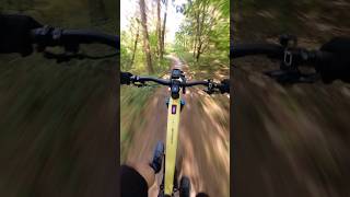 MTBTrails in Noordwijk mtb Noordwijk [upl. by Lalo]