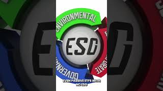 Invescos 17 5M ESG Oversight Explained youtube [upl. by Ahsetan256]