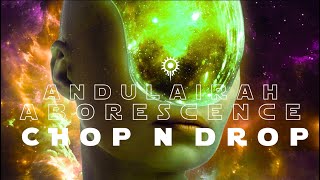 ANDULAIRAH Arborescence CHOP N DROP REMIX  Electronica Slowed amp Reverbed [upl. by Lucic440]