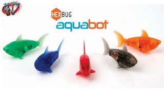 HEXBUG Aquabot Smart Fish amp Tank Toy Review Innovation First Toys [upl. by Bathesda472]