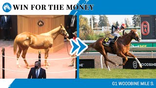 2024 G1 Woobine Mile S winner WIN FOR THE MONEY at Selected Yearlings Showcase [upl. by Brook]