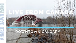 Calgary Peace Bridge  Live from Calgary Canada [upl. by Annairam]