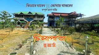 Chilapata Forest  Dooars Tour Maner Manush Homestay  Chilapta  Chilapata Homestay [upl. by Ahsieat]