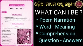 WHAT CAN I BE  Follow up lesson  Comprehension Question Answers  Class 6  ENGLISH  Odiamedium [upl. by Sigfrid]