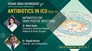 antibiotics icu  gram positive  Dr Neha Gupta  ID  ceftz avi ceftrio sulb edta T Bansal [upl. by On]