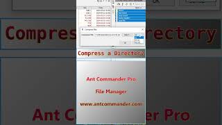 Compress Directory and Files on Windows filemanager zip [upl. by Male839]