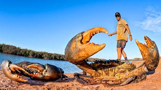 GIANT MUD CRAB CATCH AND COOK  NO FOOD [upl. by Arihat]