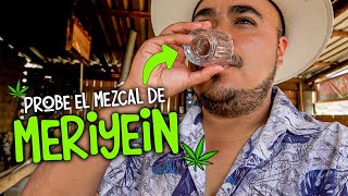 Así se prepara el MEZCAL ANCESTRAL en OAXACA 💚 Probando el Mezcal de Meriyein [upl. by Erdnoid]