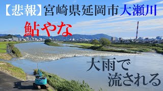 【悲報】宮崎県延岡市 鮎やな 大雨で流される（2024 1023） [upl. by Andonis]