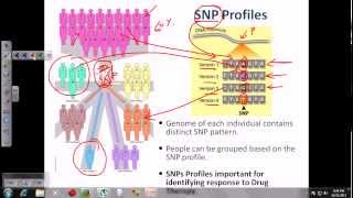 DNA fingerprinting [upl. by Joses]