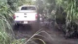 2wd lifted F150 in the mud trails [upl. by Eninaej803]