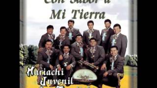 El Cascabel Mariachi Juvenil Tecalitlan [upl. by Enialahs]