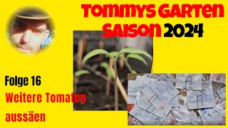 Tommys Garten 2024  Folge 16 Weitere Tomaten aussäen [upl. by Blessington993]