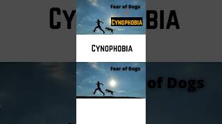 fear of dogscynophobiapronunciationsingularpluralenglishgrammarenglishspokenenglishshort [upl. by Kirst212]