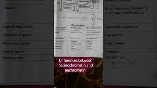 differences between heterochromatin and euchromatin region [upl. by Nosrettap]