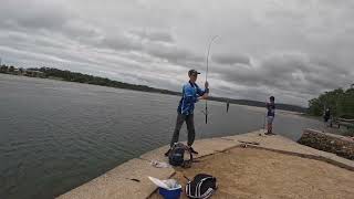 Merimbula Boardwalk Fishing with Shelby [upl. by Cychosz716]