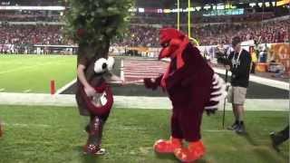 Orange Bowl Smackdown  Stanford Tree vs Virginia Tech Hokie Bird [upl. by Radburn865]