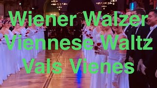 Part 3  Wiener Walzer  Opening Viennese Ball  Vienna Austria 🇦🇹 [upl. by Wilkie]