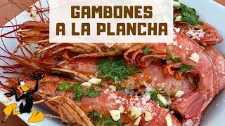 Gambones a la Plancha con Ajo y Perejil 🦐 ¡RECETA CON GAMBONES [upl. by Tebasile897]