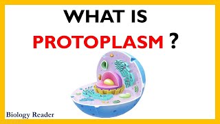 Protoplasm  Definition Diagrams Components Properties and Functions [upl. by Ahseina]