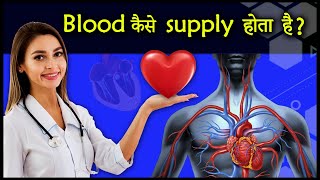 DOCTOR ब्लड कैसे सप्लाई होता है Blood circulation कैसे होता है Blood Circulation System HINDI [upl. by Aceissej]