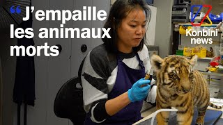 Taxidermiste  leur job empailler les animaux du muséum dHistoire naturelle  Good Job [upl. by Sarat]