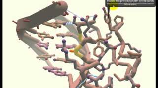 Foldit Game Tutorial  Level 74 DNA AND Protein mp4 [upl. by Newfeld]