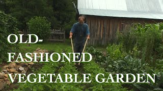 The Vegetable Garden  The FHC Show ep 16 [upl. by Wyn]