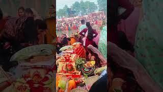 Chati maiya poojan viralvideo reelsyoutube chhathpuja trendingshorts trending [upl. by Barcellona740]