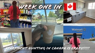 FIRST WEEK IN CANADA 🇨🇦  APARTMENT HUNTING  THE STRUGGLE [upl. by Teferi]