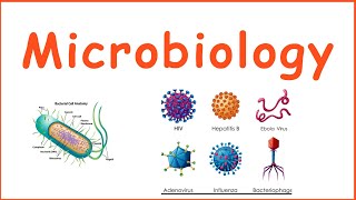 Microbiology  Introduction to microbiology  Microbiology quiz  Bacterial growth  Bacteria Cell [upl. by Darken]