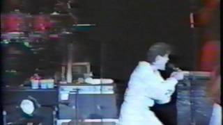 Monkees  Im a Believer  Live at Greek Theatre  1986 [upl. by Placia393]