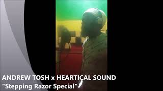 Andrew Tosh quotSteppin Razor Special  A Tribute To Peter Toshquot Heartical Sound Dubplates [upl. by Ojoj]