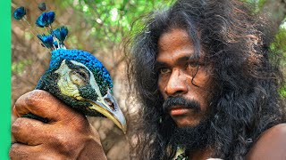 Sri Lankan Tribe Hunts Peacock 24 Hours With the Vedda [upl. by Peterson]