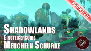 Meucheln Schurke Einsteigerguide Shadowlands World of Warcraft Patch 925 [upl. by Zaraf]