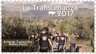 La Transumanza 2017Azienda Malfeo [upl. by Anyk87]