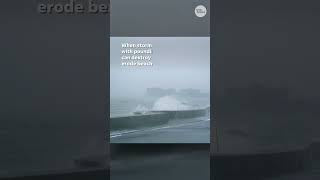 Storm surge and winds from Hurricane Helene Shorts [upl. by Westmoreland]