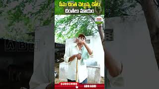 ఎనకట ఎక్కడబడితే అక్కడుండేవి ఈ చెట్లు చాలా ప్రొటీన్స్ ఉండే కాయలు దీనివి   ABN Agri shorts [upl. by Chemaram]