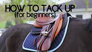 How To Tack Up Your Horse English [upl. by Anaahs]